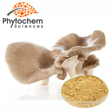 Export Dry King Oyster Mushroom Extract Powder 30% Polysaccharides